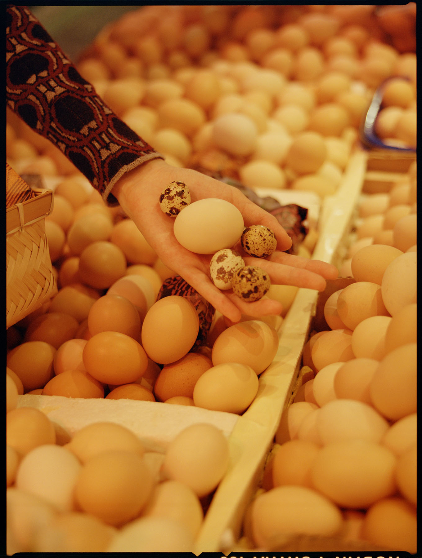 Modern Weekly, Prada